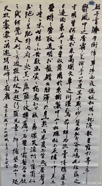 陈文斌日记-书法临苏东坡《中山松醪赋》局部。【图1】