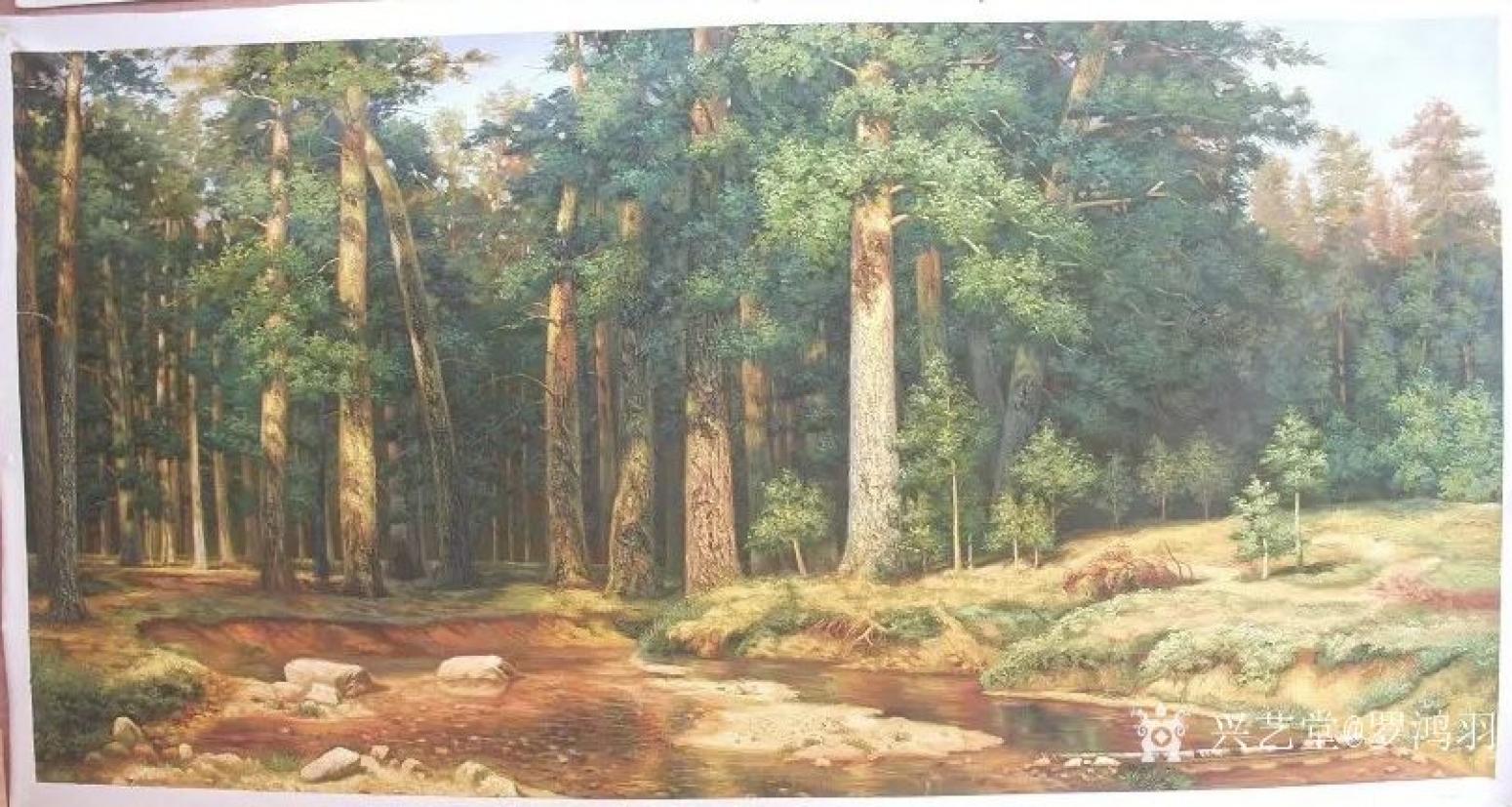 罗鸿羽油画作品《俄罗斯大松树林》【图0】