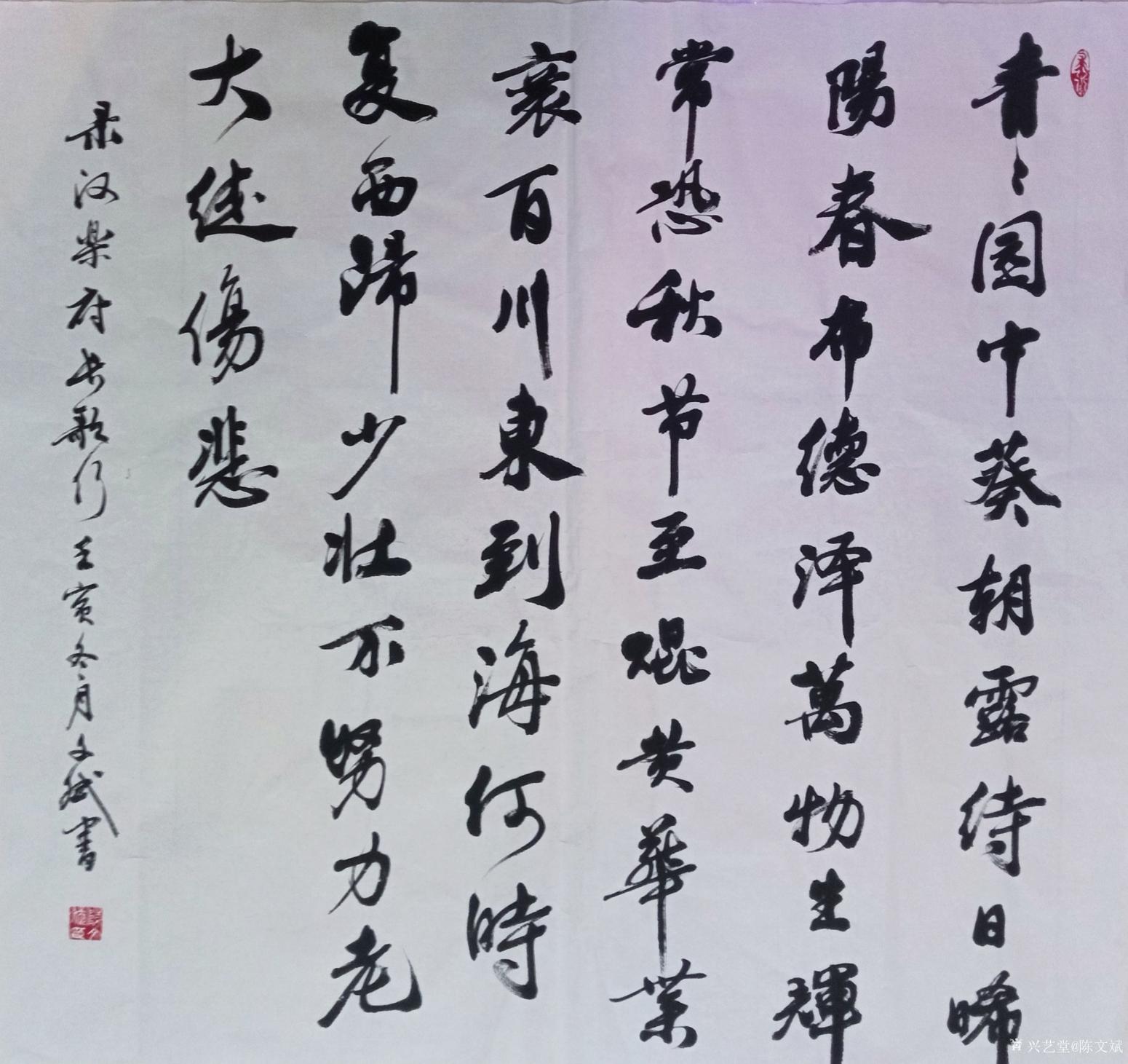 陈文斌书法作品《汉乐府长歌行》【图0】