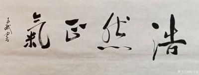 陈文斌日记-书法作品《浩然正气！天地长存》【图1】