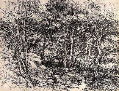 阎敏日记-野景写生《美丽清江》系列作品欣赏。 
路虽远 行则将至，
事虽难 做则必成。【图3】