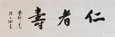 陈文斌日记-书法作品《仁者寿》，仁者寿，即德者寿，养生术语。谓道德崇高者，怀有仁爱之心，胸怀【图1】