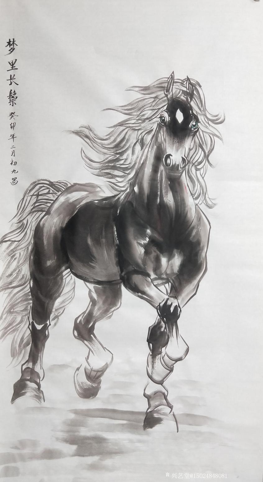 15024848081国画作品《梦里长发》