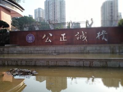 陈祖松生活-重庆之旅：英雄重庆  壮美红岩。【图9】