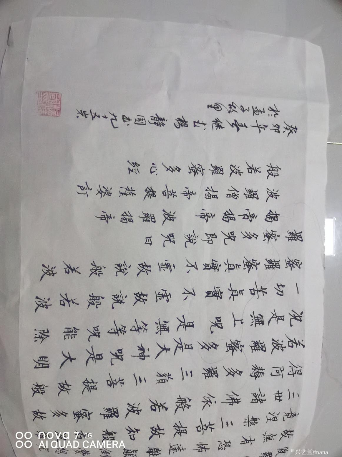 nana书法作品《《般若波罗蜜心经》》【图0】