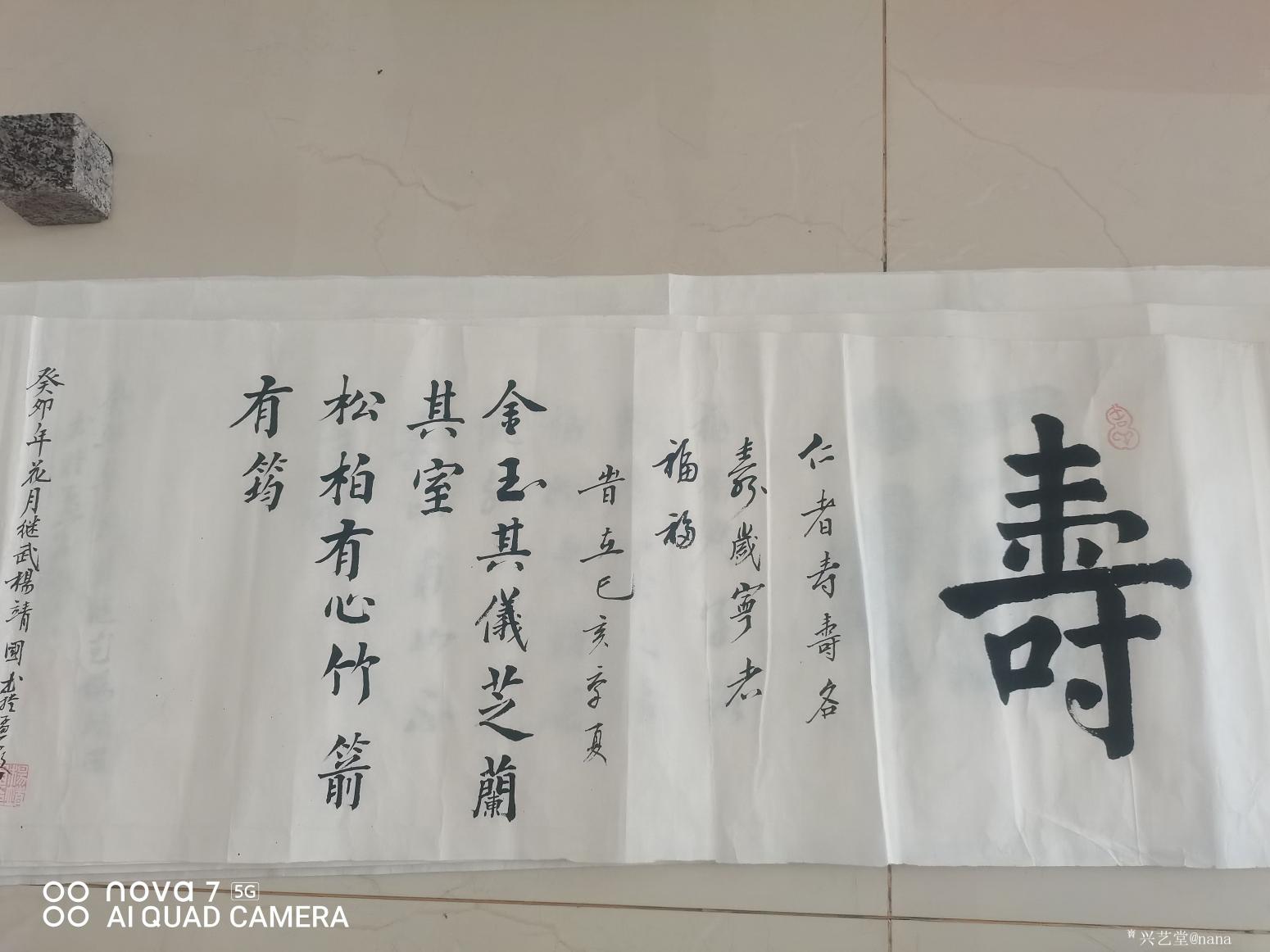 nana书法作品《《寿》》