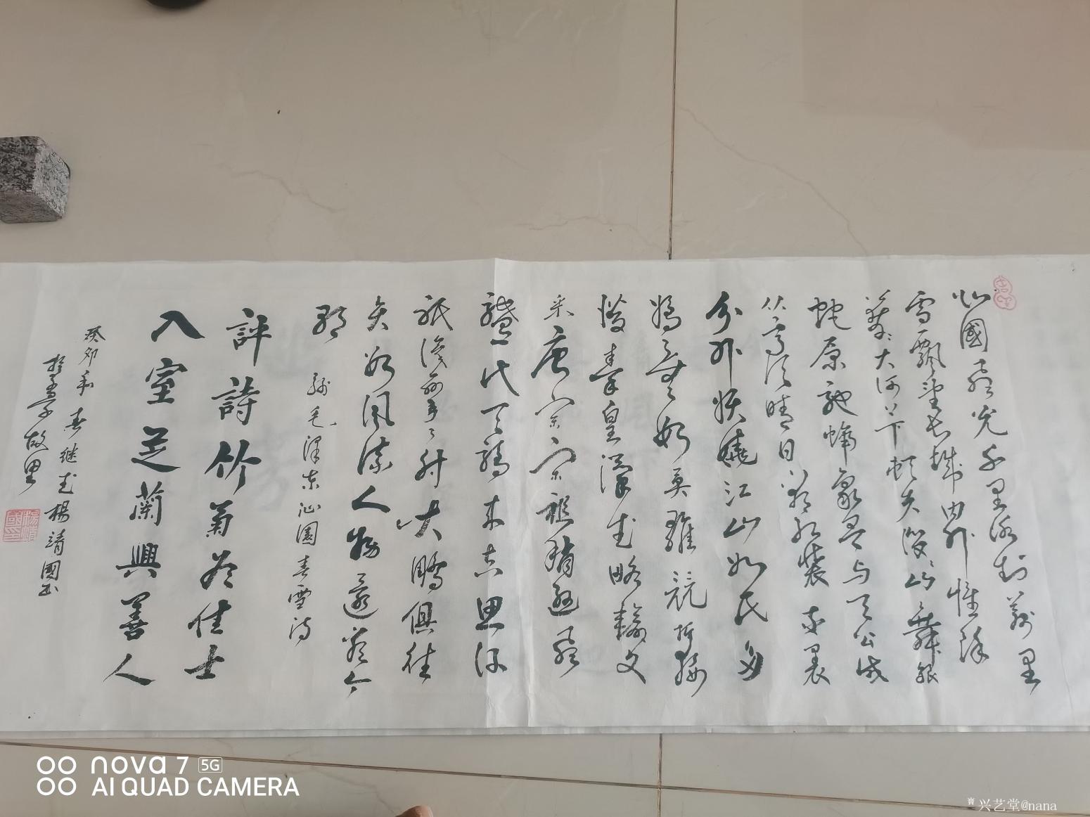 nana书法作品《草书《沁园春.雪》》