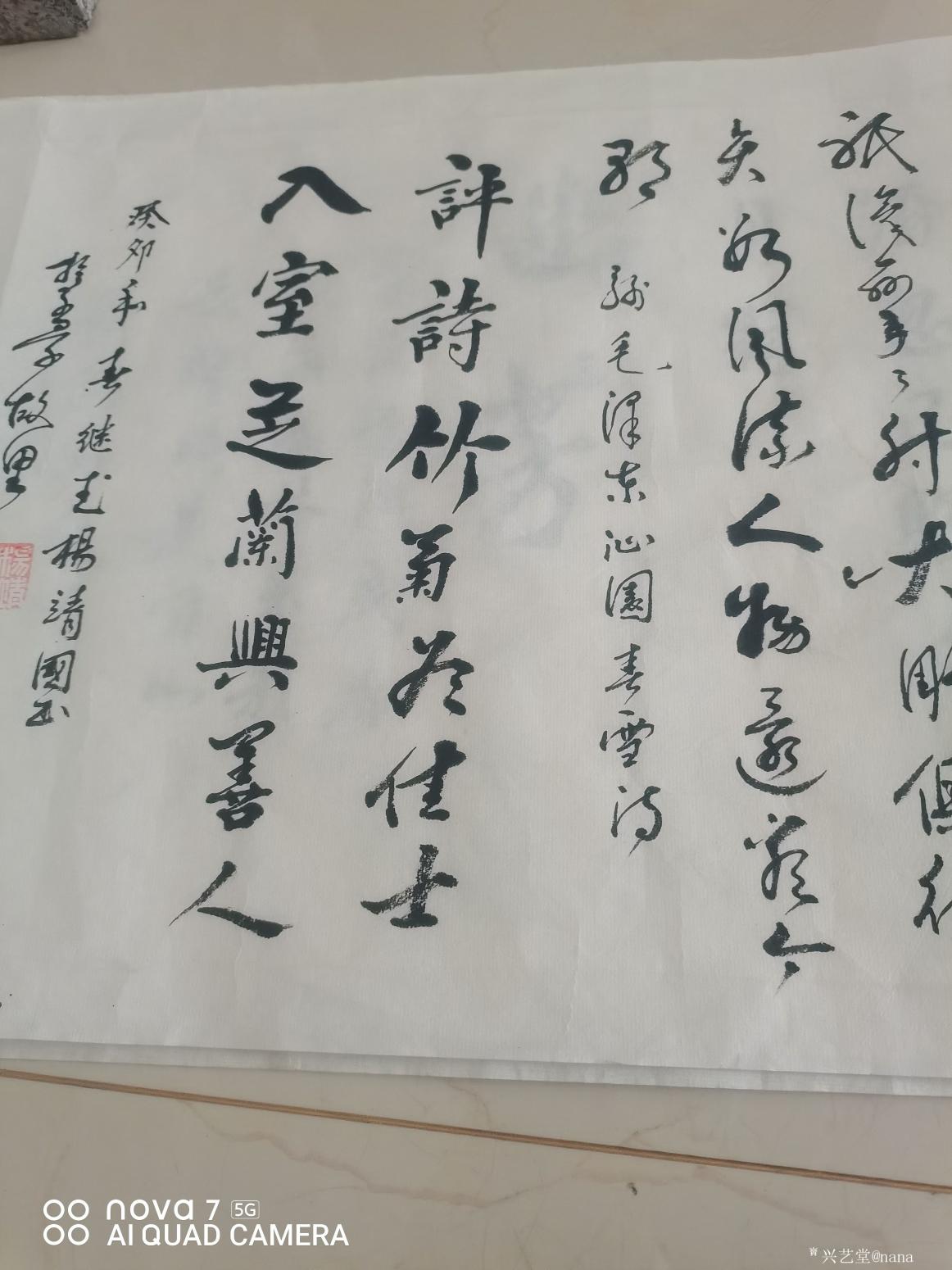 nana书法作品《草书《沁园春.雪》》【图0】