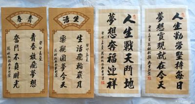 陈祖松日记-书法作品展示【图2】