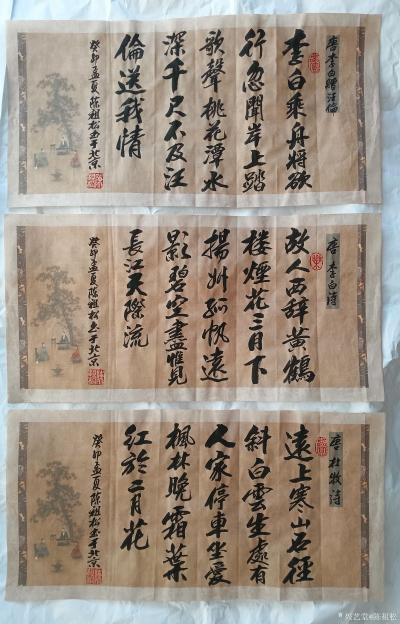 陈祖松日记-书法作品展示【图5】