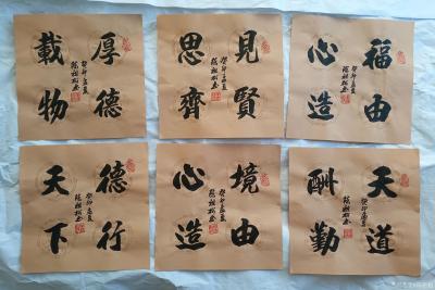 陈祖松日记-书法作品展示【图8】