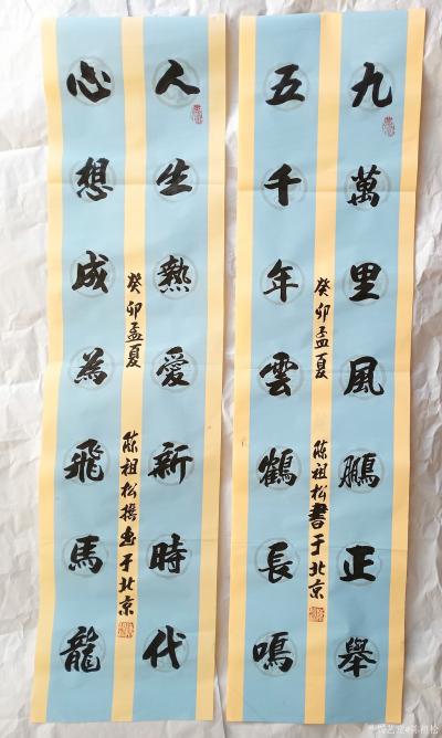 陈祖松日记-书法作品展示【图3】