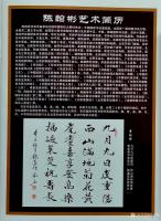 艺术家叶向阳收藏:中国当代书画家专辑《陈翰彬书画选》，原中国书法家协会主席沈鹏【图2】
