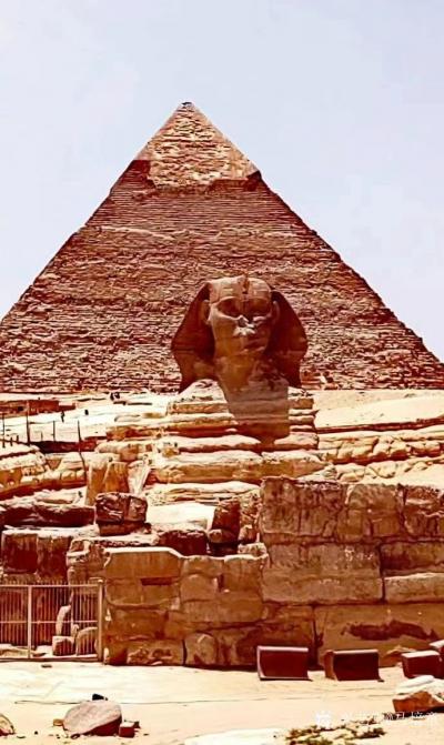 马培童日记-紫荆焦墨，生如夏花
———香港画院院长马培童印象
不是每一朵花的盛开都需要充【图3】