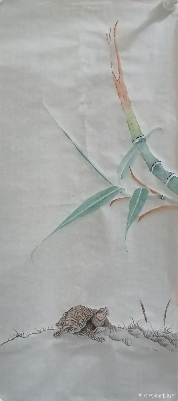 韦振华国画作品《神龟献瑞》【图0】