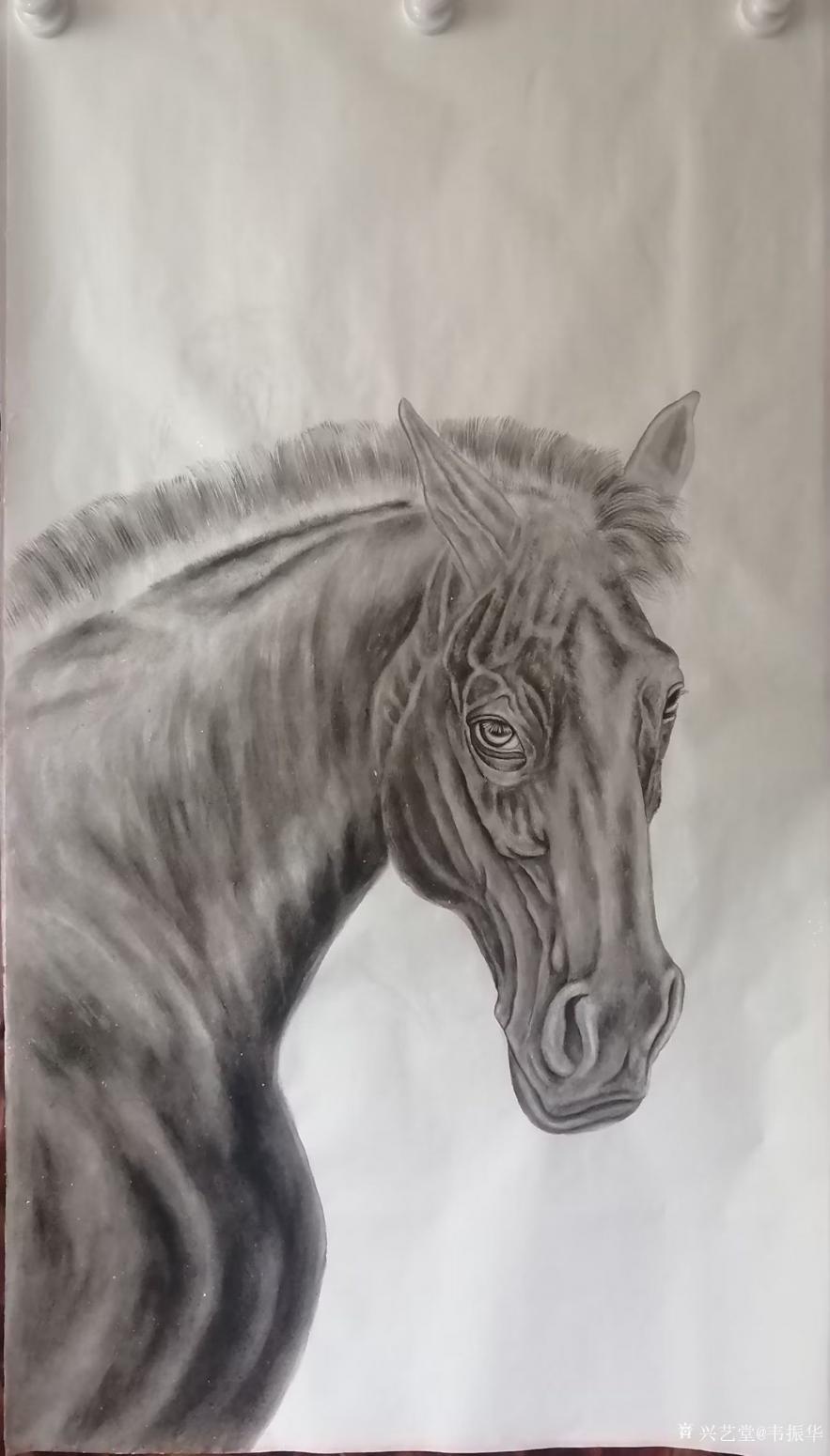 韦振华国画作品《一马当先》