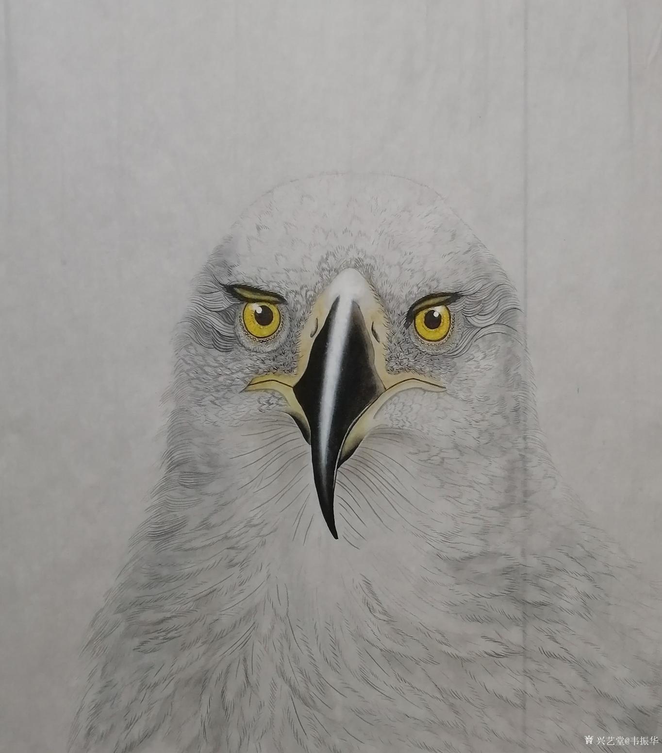 韦振华国画作品《雄姿》