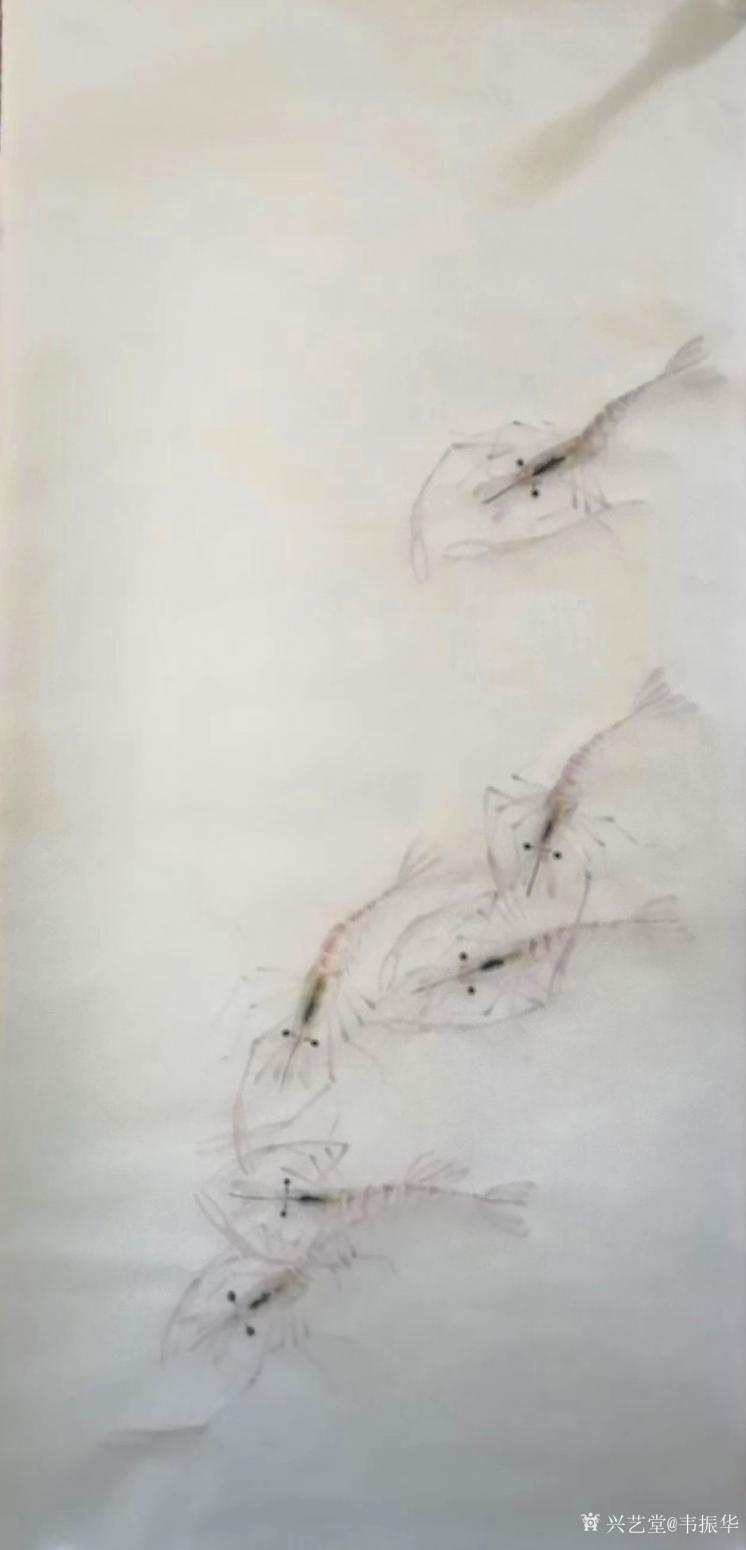 韦振华国画作品《虾趣》【图0】