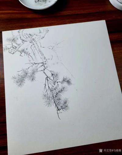 马晓薇日记-工笔素描，拟李成笔意。【图1】