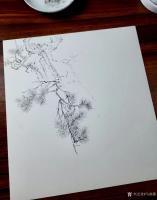 艺术家马晓薇日记:工笔素描，拟李成笔意。【图0】