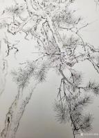 艺术家马晓薇日记:工笔素描，拟李成笔意。【图3】