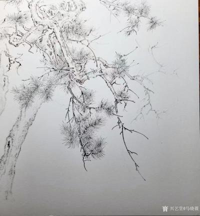 马晓薇日记-工笔素描，拟李成笔意。【图5】