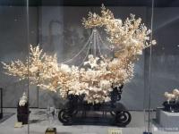 艺术家杨洪顺收藏:再次拜访吴老师，才知道什么是大国真正的艺术家，什么才是真正的【图2】