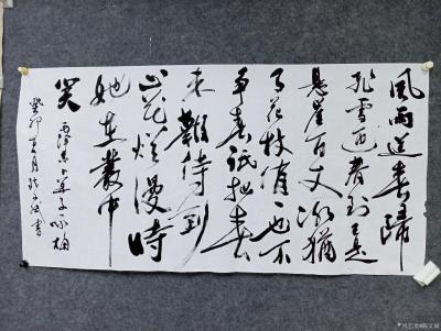 陈文斌日记-癸卯夏月  陈文斌书  毛泽东卜算子 咏梅  待到山花烂漫时，她在丛中笑！【图1】