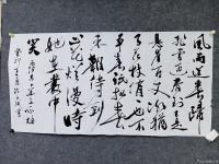 艺术家陈文斌日记:癸卯夏月  陈文斌书  毛泽东卜算子 咏梅  待到山花烂漫时【图0】