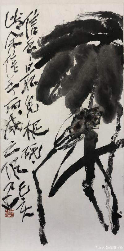 鉴藏文化收藏-崔大有（石缶）己亥年花鸟画作品欣赏【图38】