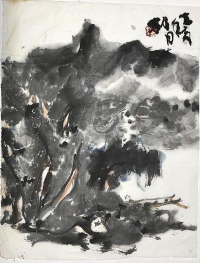 鉴藏文化收藏-崔大有（石缶）2023年山水画新作分享【图1】