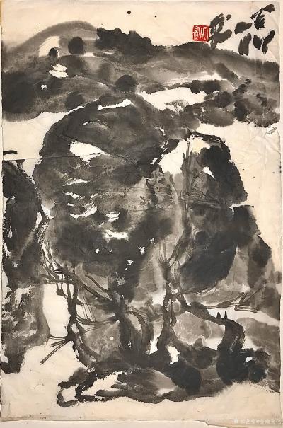 鉴藏文化收藏-崔大有（石缶）2023年山水画新作分享【图31】