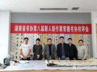 艺术家刘开豪日记:湖南省书协第八届新人新作展常德书协初评会，′常德市书协主席李【图0】