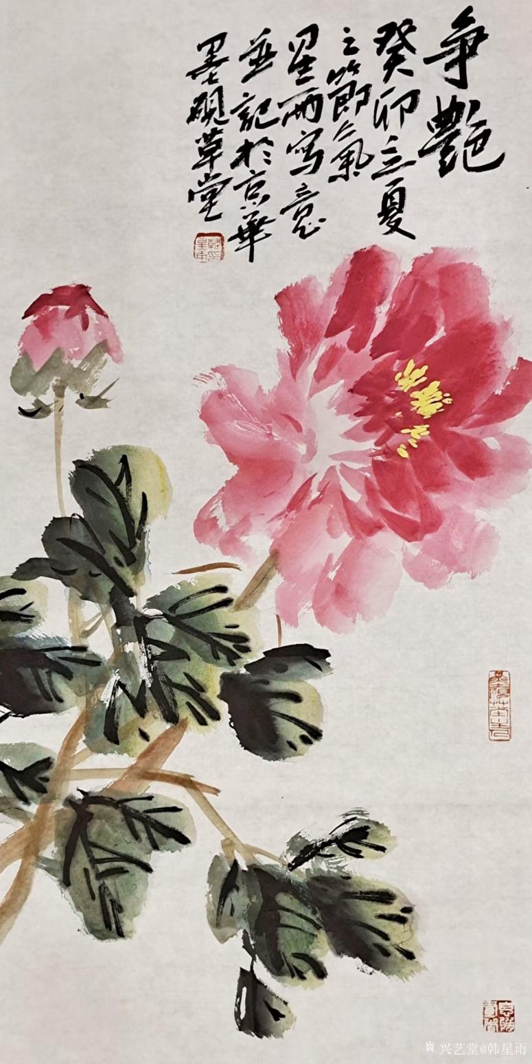 书画家韩星雨国画作品《争艳》【图0】