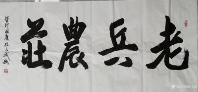 陈文斌日记-书法家陈文斌题《老兵农庄》！【图1】