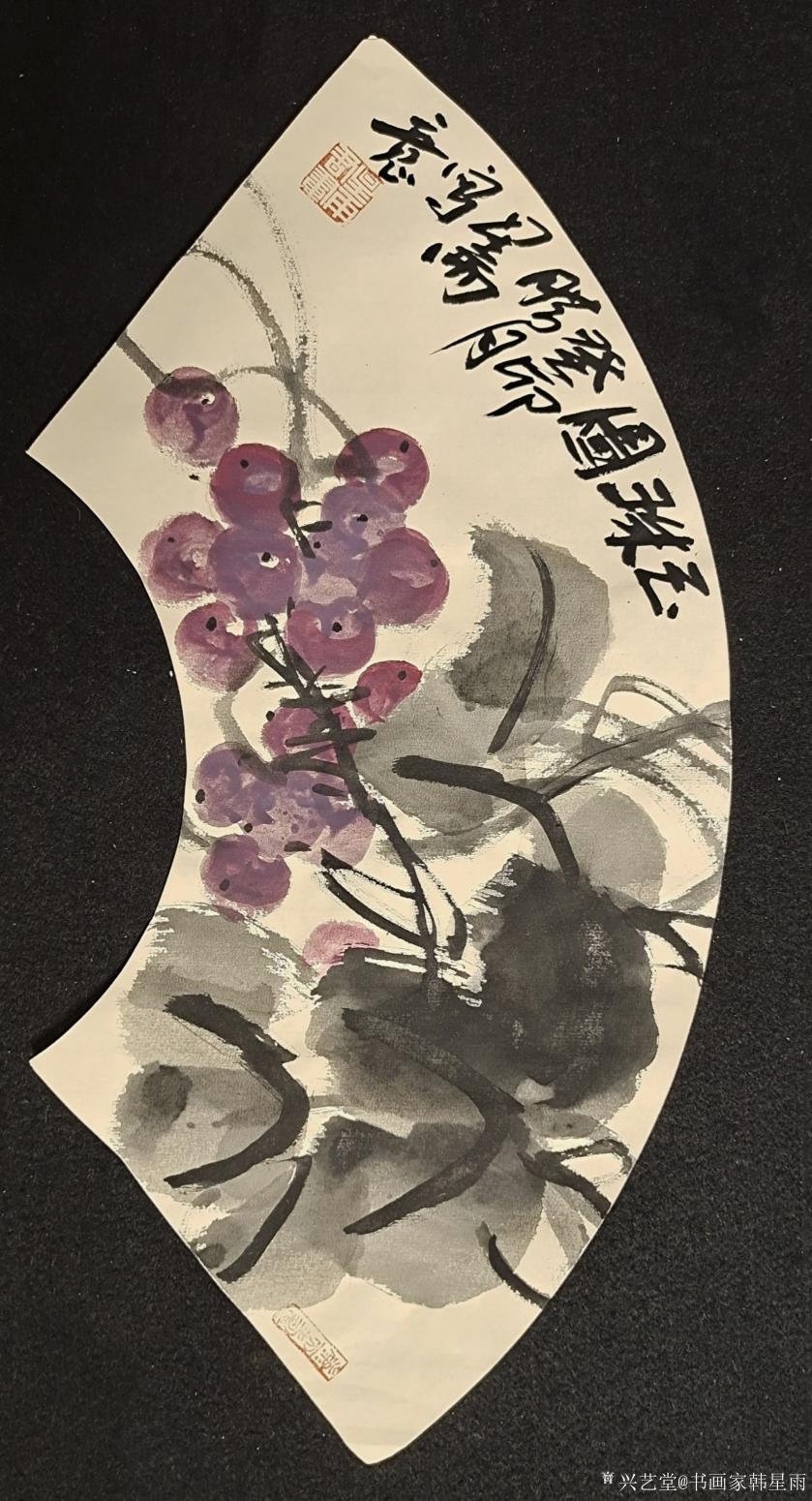 书画家韩星雨国画作品《玉珠图》【图0】