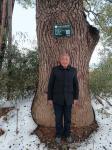 陈祖松生活-今天在家乡与522年古香樟大树拍照留影。【图2】