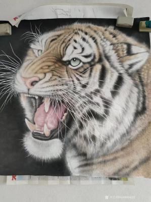 初出茅庐兴艺空间精选封面动态图片