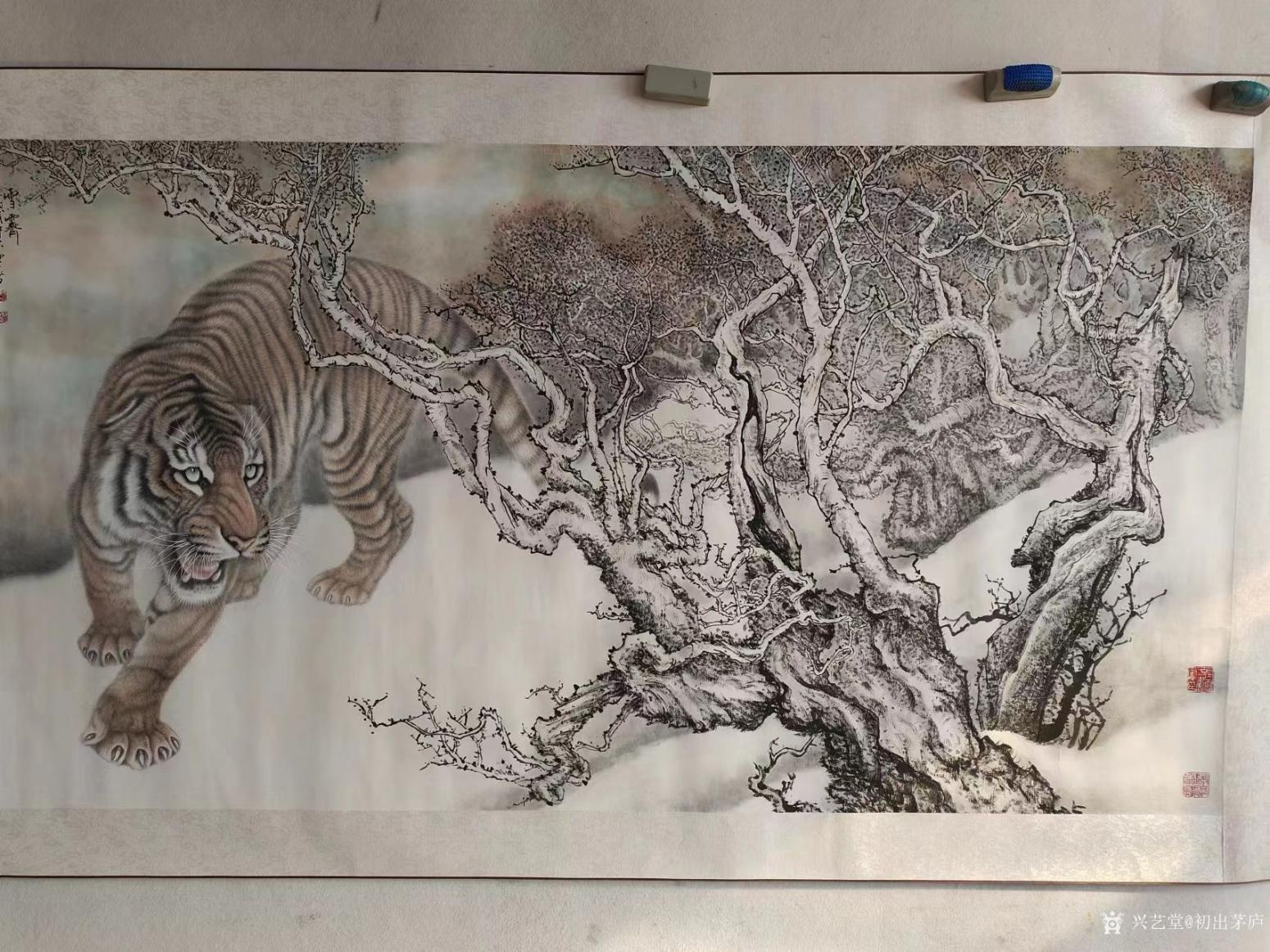 初出茅庐国画作品《国画 工笔虎》【图0】