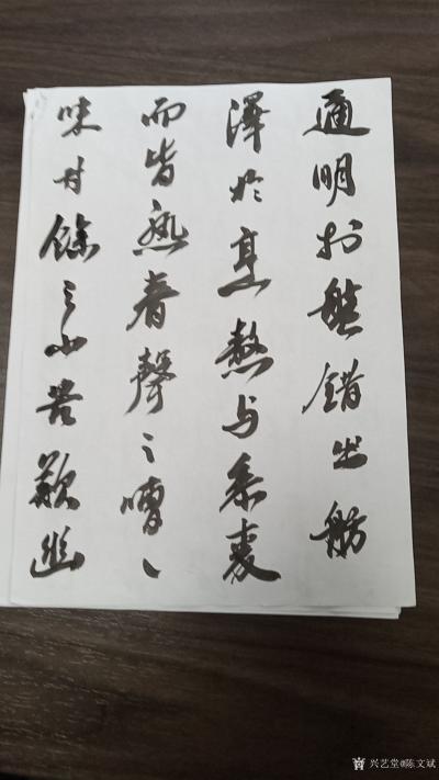 陈文斌日记-书法家陈文斌对书苏东坡《中山松醪赋》局部！（小型纸张）【图2】