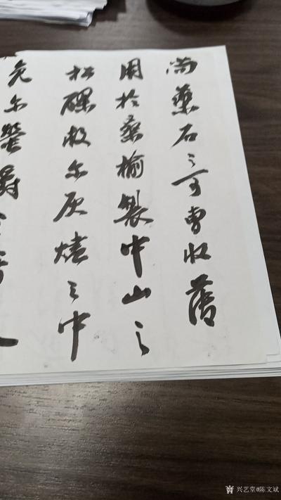 陈文斌日记-书法家陈文斌对书苏东坡《中山松醪赋》局部！（小型纸张）【图3】