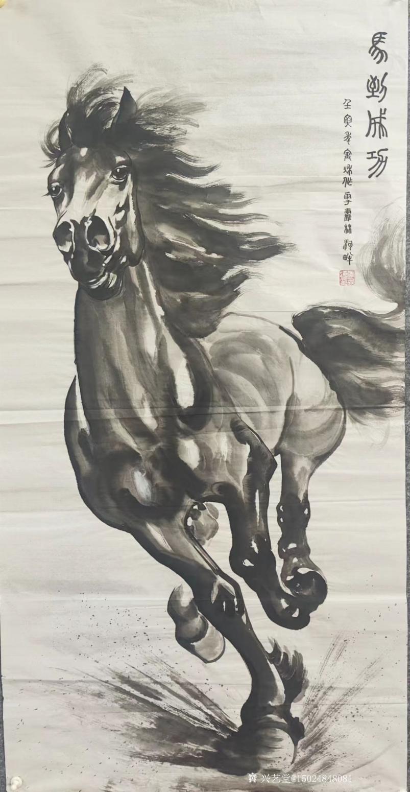 15024848081国画作品《马到成功》