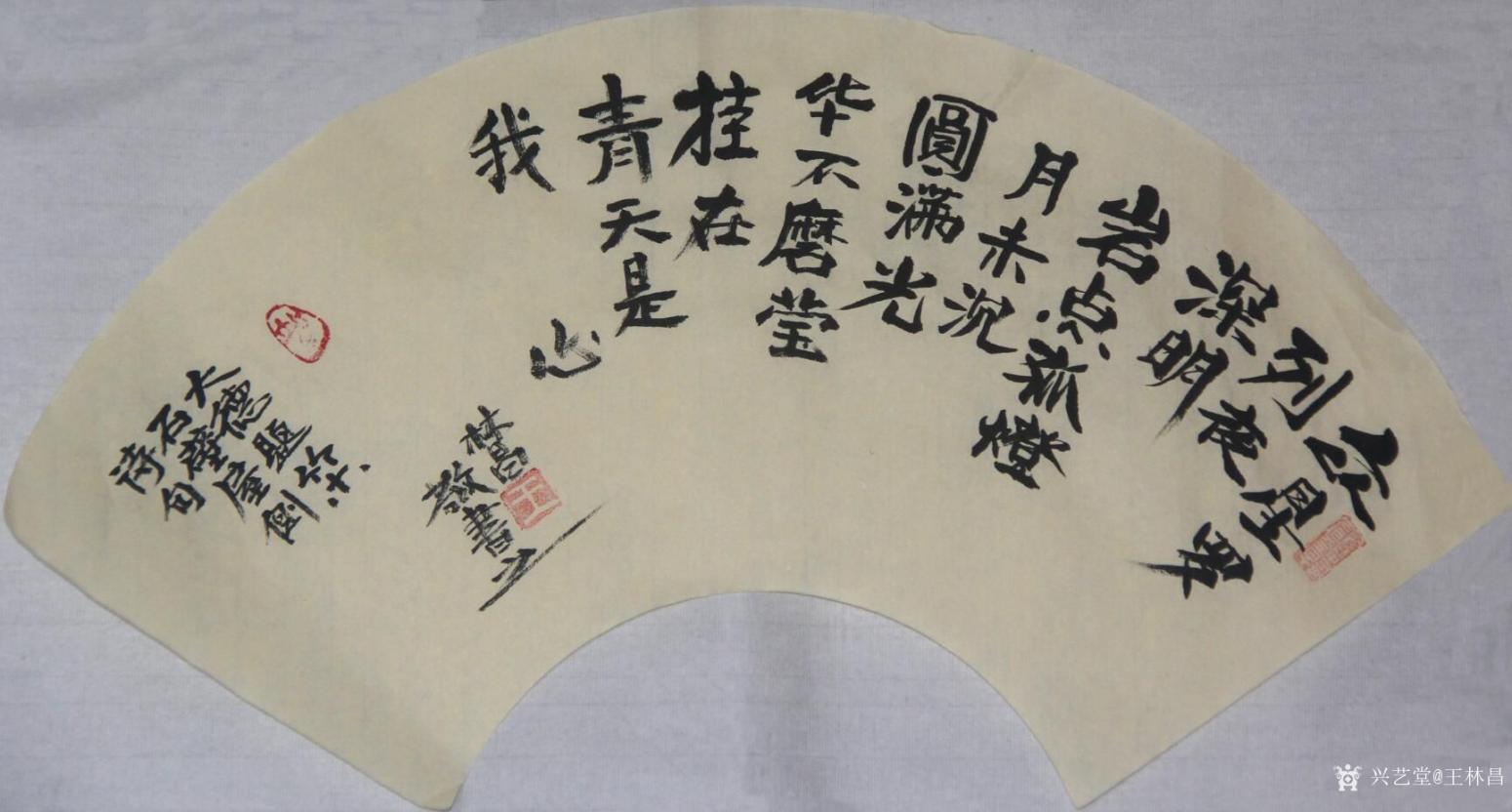 王林昌书法作品《净心行善》【图3】