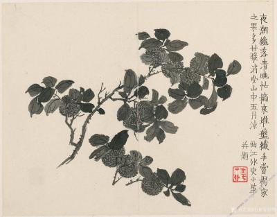 小鱼有好物日记-清-金农-杂画【图5】