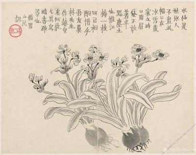 小鱼有好物日记-清-金农-杂画【图11】