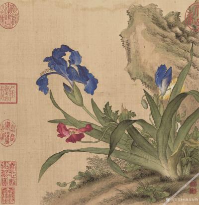 小鱼有好物日记-郎世宁花鸟图册【图7】