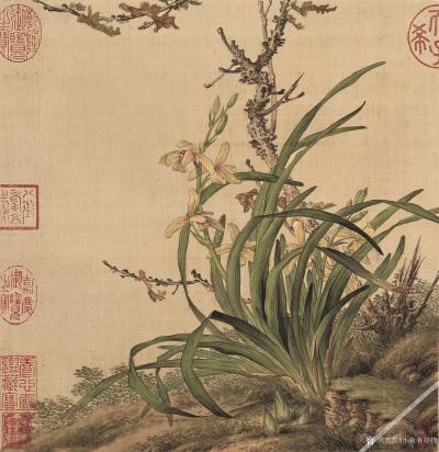 小鱼有好物日记-郎世宁花鸟图册【图9】