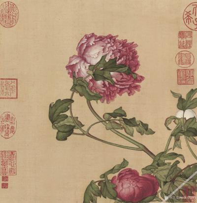 小鱼有好物日记-郎世宁花鸟图册【图10】