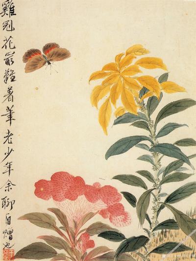 小鱼有好物日记-清-王武-花卉册【图7】