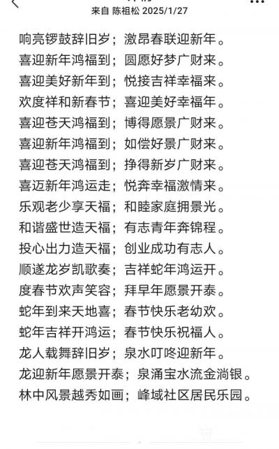 陈祖松日记-撰写春联迎新年
响亮锣鼓辞旧岁；激昂春联迎新年。
喜迎新年鸿福到；圆愿好梦广【图1】